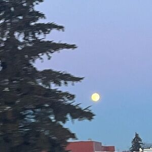 Meet your Posher, Em